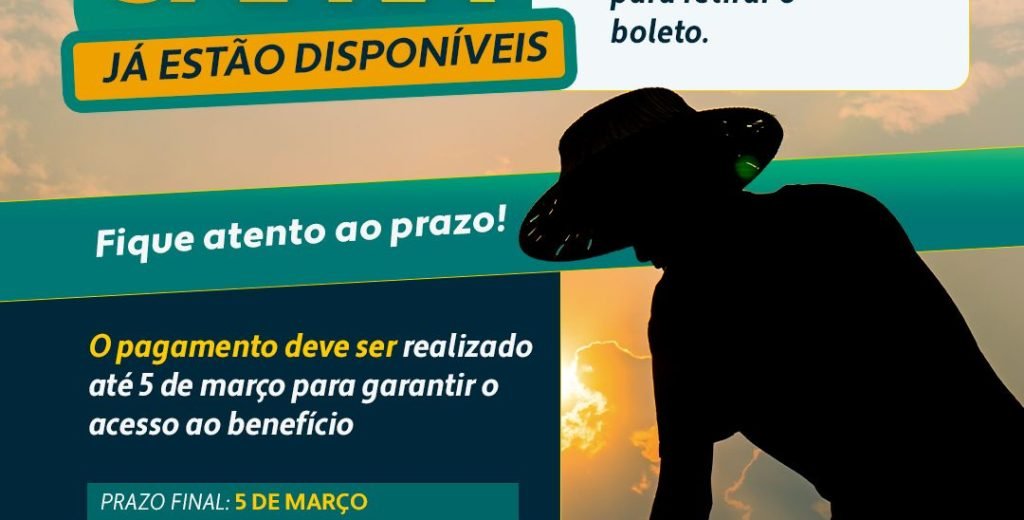 WhatsApp Image 2026-02-25 at 16.05.12